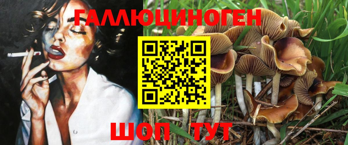 Галлюциногенные грибы Psilocybe  Вход с VPN  Холмск 