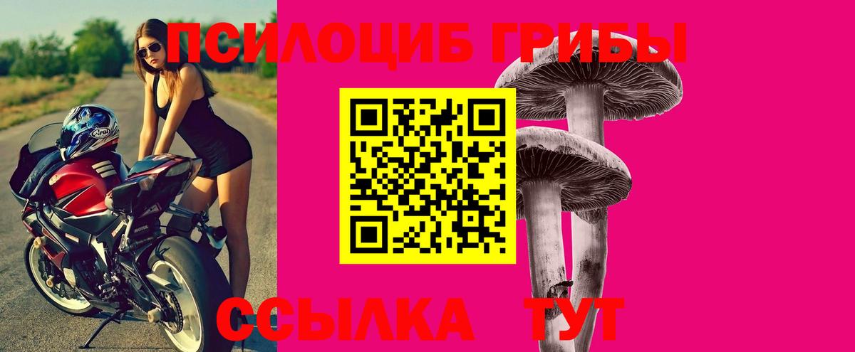 Галлюциногенные грибы Psilocybine cubensis Холмск